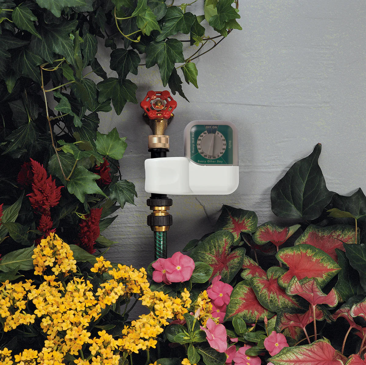 1-Outlet Automatic Single-Dial Hose Faucet Timer